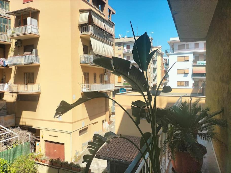 Cento House Rom